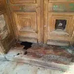 ΠΑΤΡΑ: Το αφιέρωμα στον Τσίλερ και το Δημοτικό Θέατρο