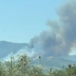 Ελαιώνας Πύργου: Ψάχνουν εμπρηστή με μηχανή χωρίς πινακίδες
