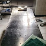 Φλωρίδης για την Ιατροδικαστική Υπηρεσία Πάτρας: Επανεξέταση όλων των πιστοποιητικών θανάτων της τελευταίας 5ετιας με την ένδειξη «φυσιολογικά αίτια»