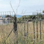 Περισσότερες από 150 καταγγελίες στην Πυροσβεστική για ακαθάριστα οικόπεδα στην Αχαϊα – από την Πάτρα