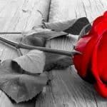 Πάτρα: Θρήνος για γνωστό συνδικαλιστή που "έφυγε νωρίς" - φωτο