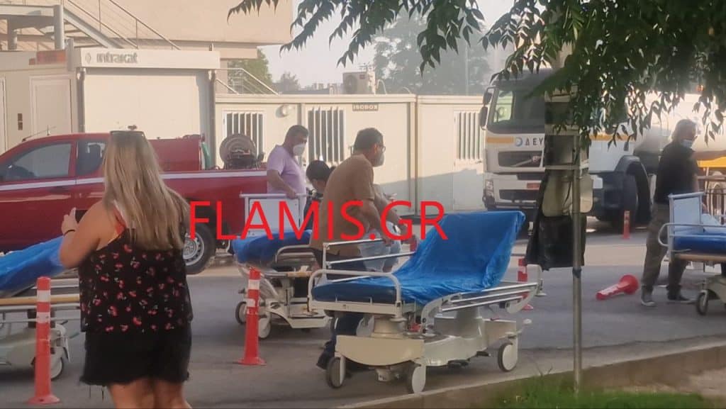 ΠΑΤΡΑ - ΔΕΙΤΕ ΦΩΤΟ: Ο Δήμαρχος Κώστας Πελετίδης και ο εκδότης Γιάννης Χριστόπουλος έσερναν ράντζα!
