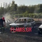 ΔΕΙΤΕ ΒΙΝΤΕΟ ΤΗΝ ΩΡΑ ΤΗΣ ΦΩΤΙΑΣ ΣΤΑ ΑΥΤΟΚΙΝΗΤΑ: Αυτή ήταν η αιτία της πυρκαγιάς στον Λόγγο