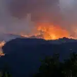 Μεγάλη φωτιά στo Εσκίσεχιρ στην Τουρκία - 10 δασοφύλακες νεκροί