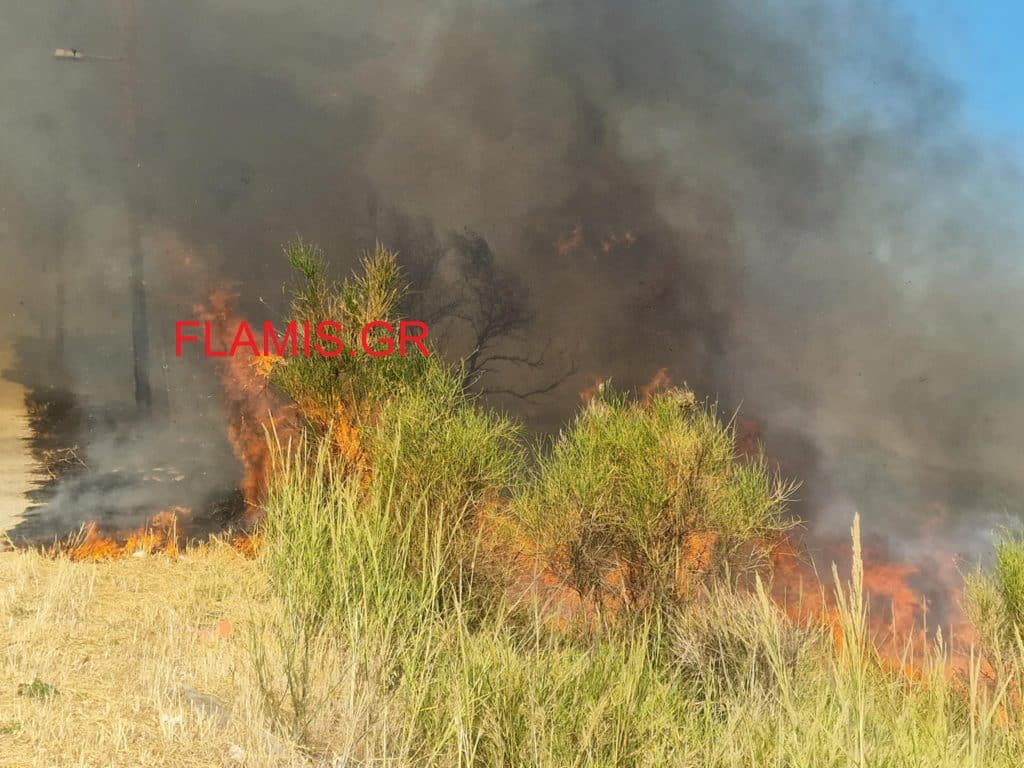 Κόλαση φωτιάς σε Δυτική Αχαϊα και Βούντενη - Πλησιάζει την Πάτρα! ΝΕΑ ΒΙΝΤΕΟ! Η Πάτρα "ζωσμένη" από φλόγες