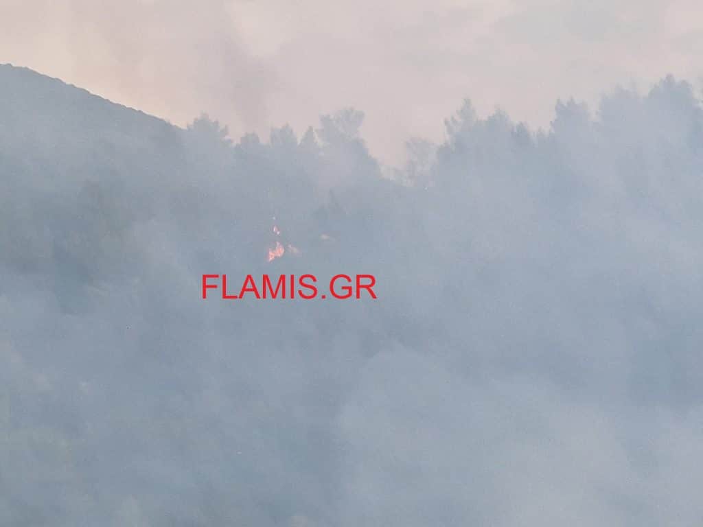 ΠΑΤΡΑ: Αναζωπύρωση στην περιοχή Μπάλα - Είδαν δύο άτομα με μηχανή - ΗΧΗΣΗ 112 - ΔΕΙΤΕ ΒΙΝΤΕΟ και ΦΩΤΟ