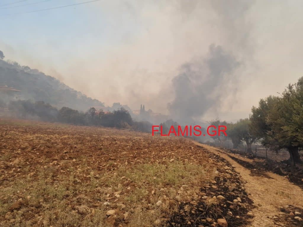 To flamis.gr μέσα στη φωτιά στη Βούντενη - Δείτε συγκλονιστικά βίντεο με φλόγες δίπλα από τα σπίτια