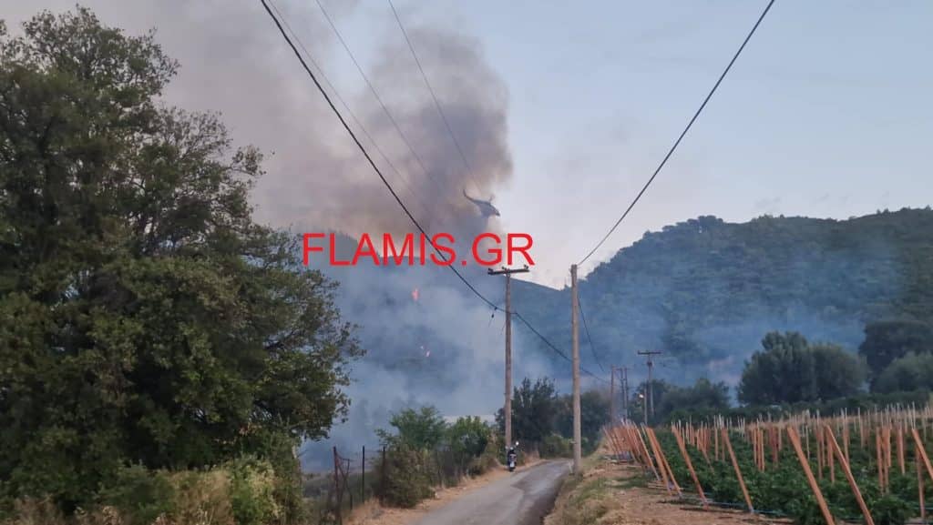 ΠΑΤΡΑ: Το flamis.gr στην αναζωπύρωση στου Μπάλα - ΔΕΙΤΕ ΦΩΤΟ ΚΑΙ ΒΙΝΤΕΟ