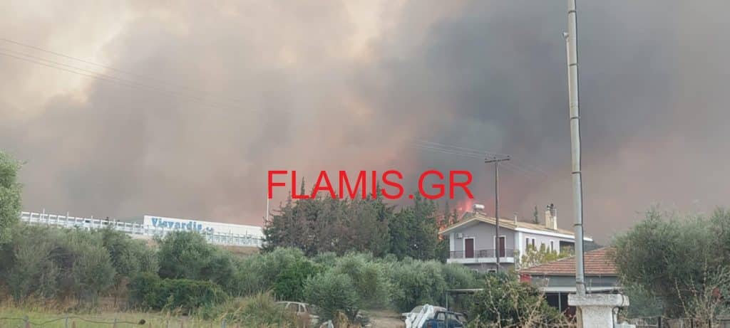 Το flamis.gr μέσα στη φωτιά στη Δυτική Αχαΐα - Δείτε ΦΩΤO και ΒΙΝΤΕΟ από την εξέλιξή της