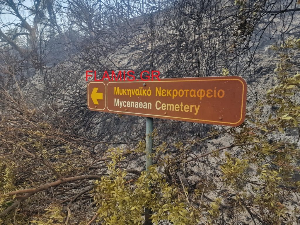 Κόλαση φωτιάς σε Δυτική Αχαϊα και Βούντενη - Πλησιάζει την Πάτρα! ΝΕΑ ΒΙΝΤΕΟ! Η Πάτρα "ζωσμένη" από φλόγες
