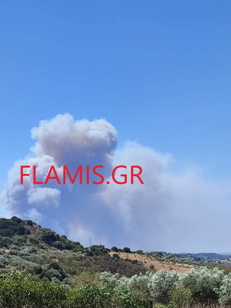 ΠΑΤΡΑ: Μεγάλη φωτιά πάνω από τα Μοιραίικα - Καίγονται και θερμοκήπια