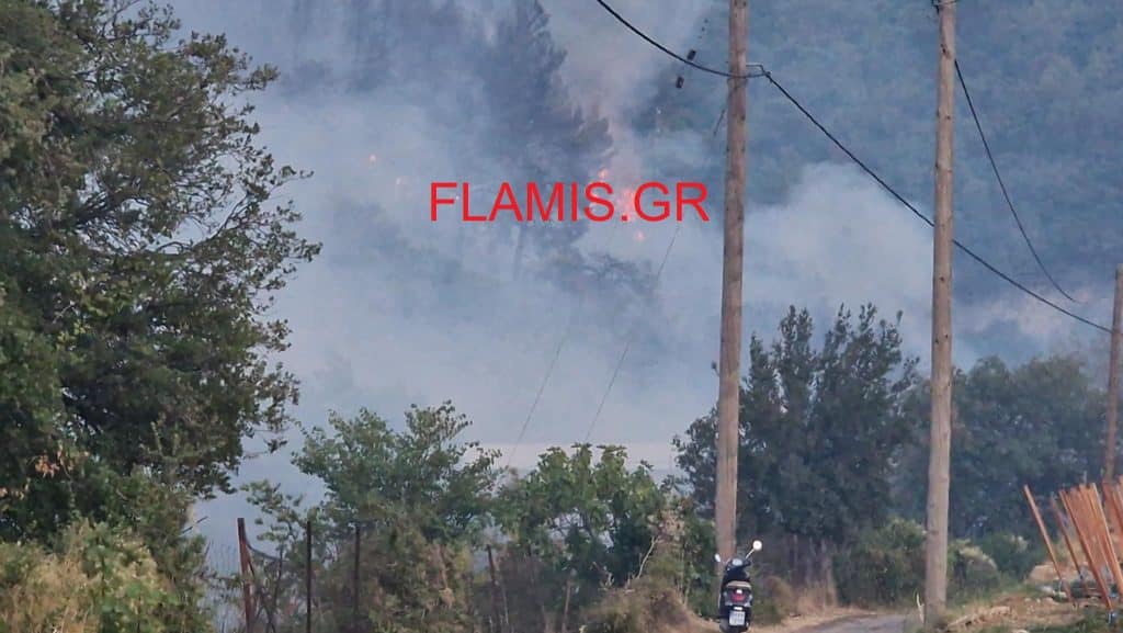ΠΑΤΡΑ: Το flamis.gr στην αναζωπύρωση στου Μπάλα - ΔΕΙΤΕ ΦΩΤΟ ΚΑΙ ΒΙΝΤΕΟ