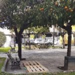 ΠΑΤΡΑ: Τι θα γίνει με τους τοξικομανείς που κυκλοφορούν μεταξύ ΟΚΑΝΑ στην οδό Μπουμπουλίνας και Πλατείας Πίνδου;