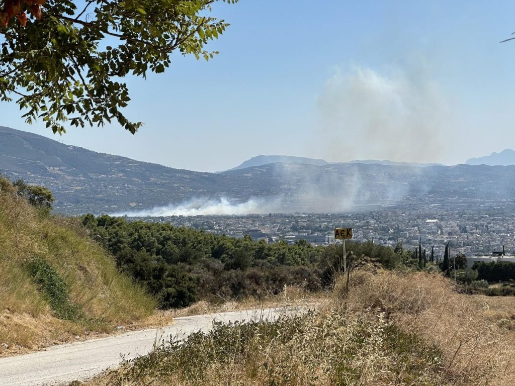 Πάτρα ΤΩΡΑ: Φωτιά στο Γλαύκο- Προληπτική εκκένωση σε Δεμένικα-ΒΙΟΠΑ - ΦΩΤΟ