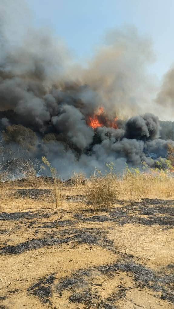ΔΥΤΙΚΗ ΕΛΛΑΔΑ - ΤΩΡΑ: Φωτιά στο Καπελέτο Ηλείας