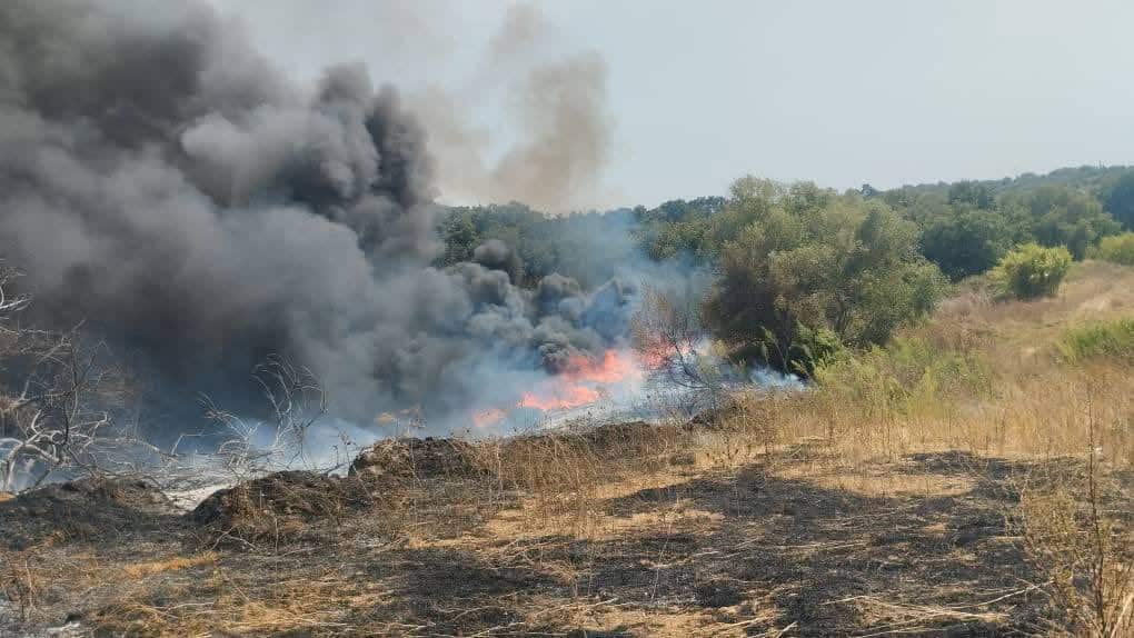 ΔΥΤΙΚΗ ΕΛΛΑΔΑ - ΤΩΡΑ: Φωτιά στο Καπελέτο Ηλείας