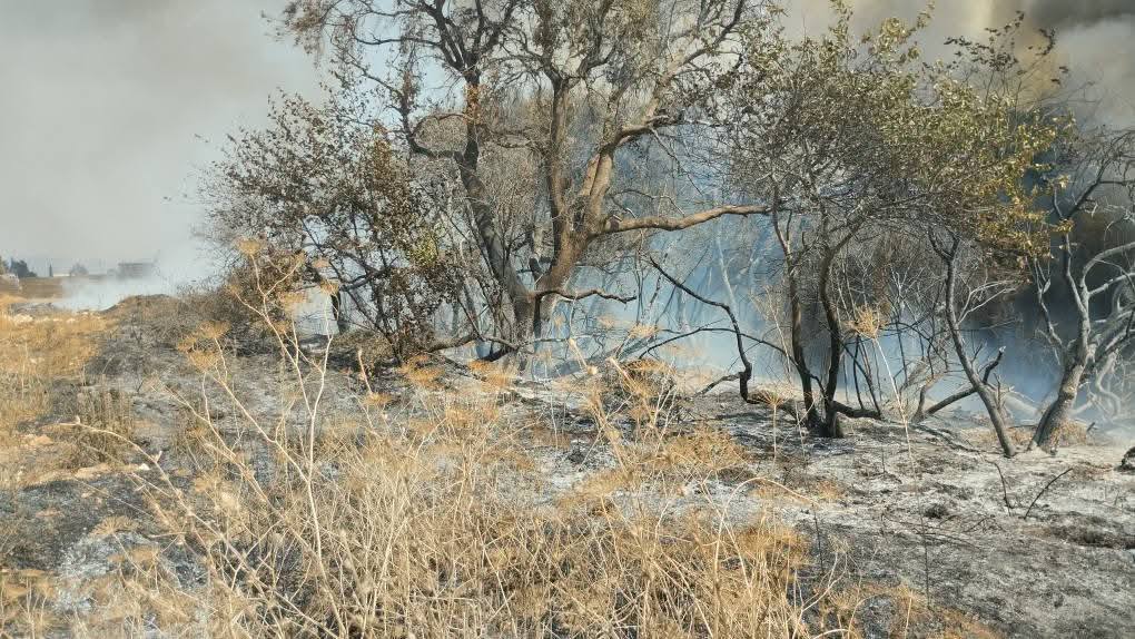 ΔΥΤΙΚΗ ΕΛΛΑΔΑ - ΤΩΡΑ: Φωτιά στο Καπελέτο Ηλείας