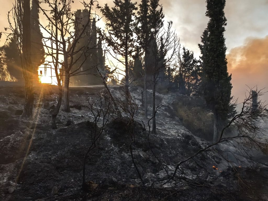 ΠΑΤΡΑ - ΔΕΙΤΕ ΦΩΤΟ: Κάηκαν σπίτια πάνω από την Αρόη - ΚΡΑΝΙΟΥ ΤΟΠΟΣ Η ΠΕΡΙΟΧΗ