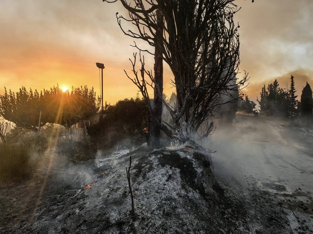 ΠΑΤΡΑ - ΔΕΙΤΕ ΦΩΤΟ: Κάηκαν σπίτια πάνω από την Αρόη - ΚΡΑΝΙΟΥ ΤΟΠΟΣ Η ΠΕΡΙΟΧΗ