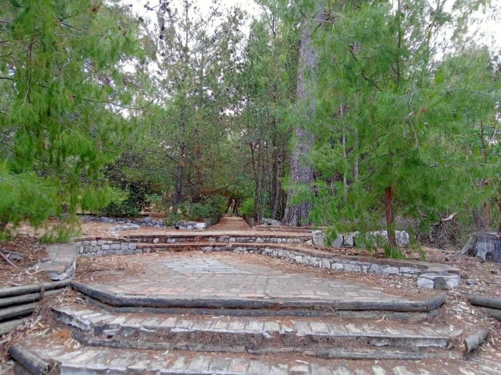 Θ. ΚΑΝΕΛΛΟΠΟΥΛΟΣ: Ιδού τα χάλια και ο κίνδυνος που εγκυμονεί στο Δασύλλιο - ΦΩΤΟ