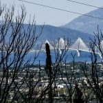 ΕΛΓΑ Πάτρας: Οδηγίες για τη διαχείριση πυρόπληκτων καλλιεργειών