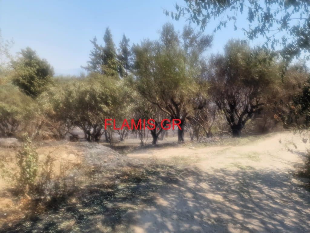 To flamis.gr στην Καμενίτσα Αλισσού - ΔΕΙΤΕ ΒΙΝΤΕΟ - Καμένα σπίτια