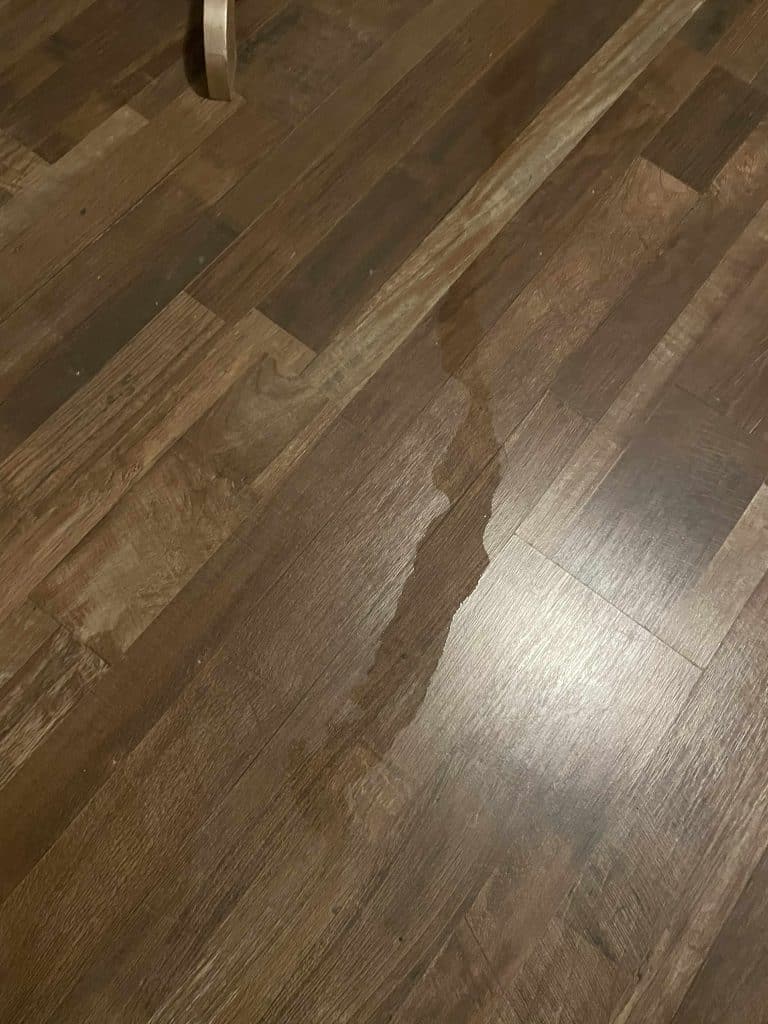 ΠΑΤΡΑ: Εφιάλτης μέσα στη νύχτα για κάτοικο του Δασυλλίου! Εσπασε αγωγός και πλημμύρισε το σπίτι της - ΒΙΝΤΕΟ