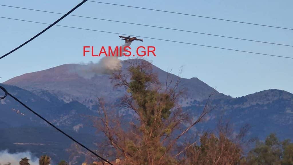 Κόλαση φωτιάς σε Δυτική Αχαϊα και Βούντενη - Πλησιάζει την Πάτρα! ΝΕΑ ΒΙΝΤΕΟ! Η Πάτρα "ζωσμένη" από φλόγες