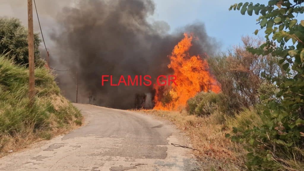Κόλαση φωτιάς σε Δυτική Αχαϊα και Βούντενη - Πλησιάζει την Πάτρα! ΝΕΑ ΒΙΝΤΕΟ! Η Πάτρα "ζωσμένη" από φλόγες