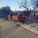 Περιφέρεια: Διαδικασίες για τη δήλωση απωλειών στο ζωικό κεφάλαιο εξαιτίας πυρκαγιάς
