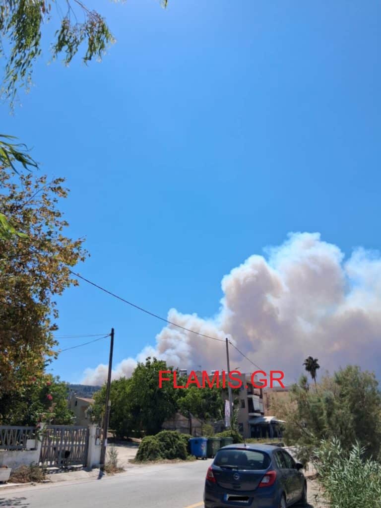 ΠΑΤΡΑ: Μεγάλη φωτιά πάνω από τα Μοιραίικα - Καίγονται και θερμοκήπια
