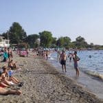ΠΑΤΡΑ: Εμφανίστηκε μοβ μέδουσα στην Πλαζ - ΦΩΤΟ