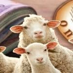 Έκρηξη αγανάκτησης από τους κτηνοτρόφους της Ηλείας