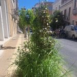 ΠΑΤΡΑ: Τα χάλια της Μαιζώνος - ΦΩΤΟ