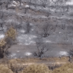 Drone καταγράφει όλο το μέγεθος της καταστροφής στην Δυτική Αχαϊα - ΔΕΙΤΕ ΤΡΙΑ ΒΙΝΤΕΟ