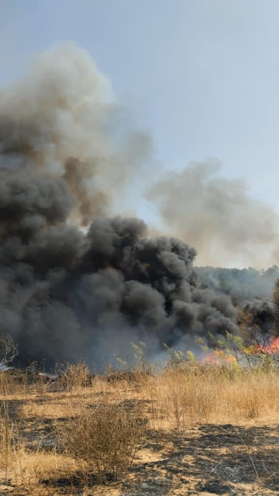 ΔΕΙΤΕ ΦΩΤΟ ΚΑΙ ΒΙΝΤΕΟ: Φωτιά κοντά στην Πατρών Πύργου