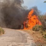 ΔΥΤΙΚΗ ΑΧΑΪΑ: Κάηκαν 20.000 στρέμματα