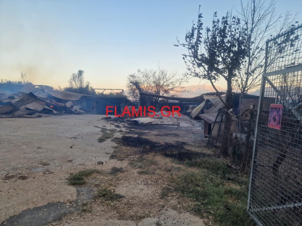 ΠΑΤΡΑ: Σε απόγνωση γνωστός επιχειρηματίας - Κάηκε το σπίτι του στη φωτιά
