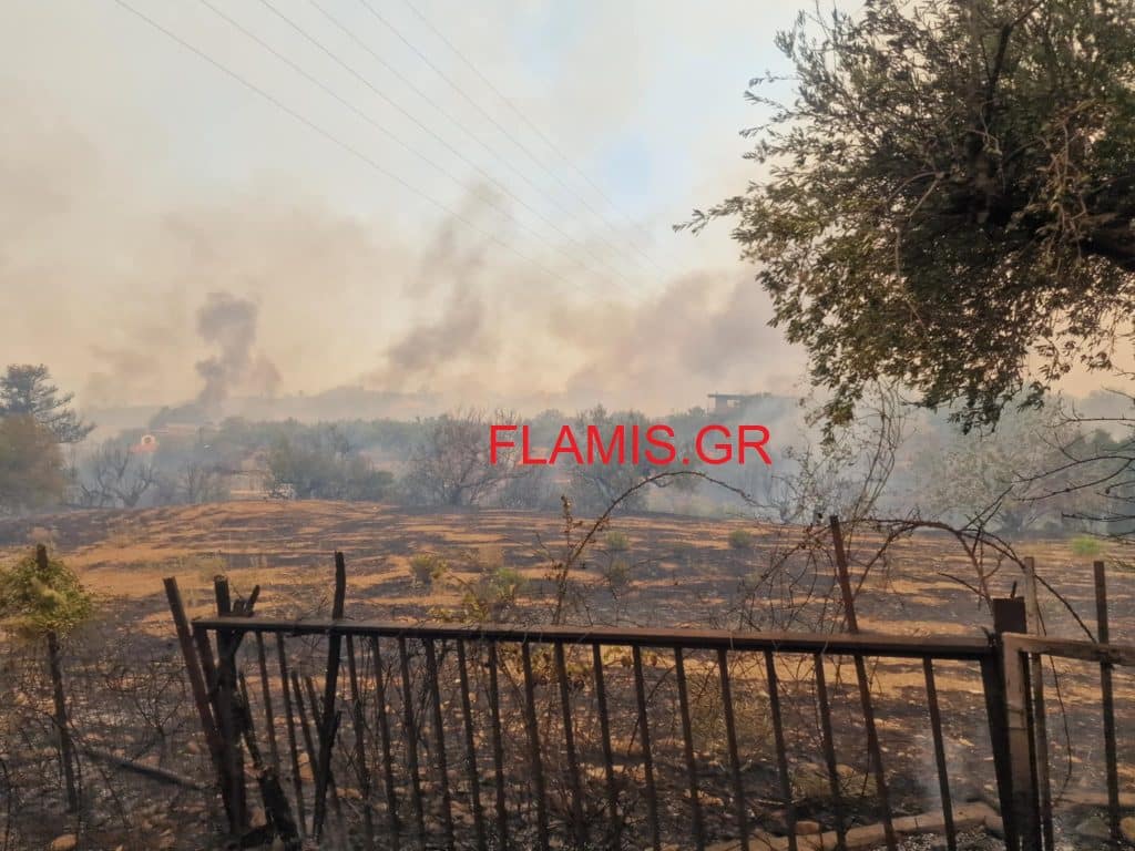 To flamis.gr μέσα στη φωτιά στη Βούντενη - Δείτε συγκλονιστικά βίντεο με φλόγες δίπλα από τα σπίτια