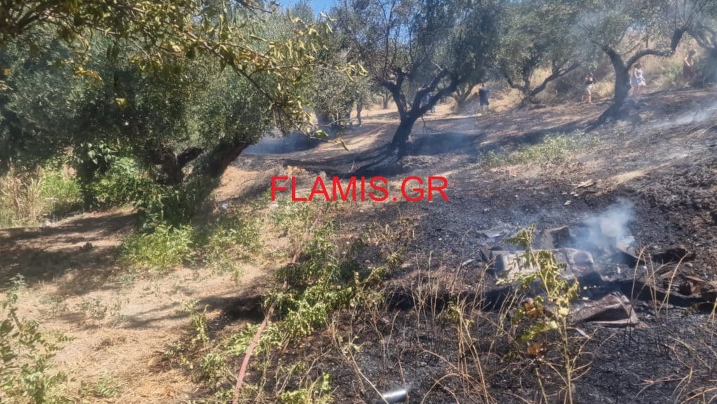 ΠΑΤΡΑ: Κινδύνεψαν σπίτια από φωτιά στην Ανθούπολη - ΦΩΤΟ & ΒΙΝΤΕΟ