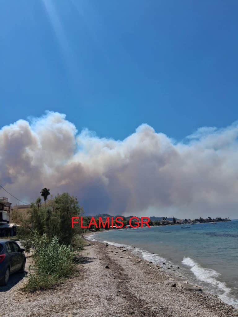 ΠΑΤΡΑ: Μεγάλη φωτιά πάνω από τα Μοιραίικα - Καίγονται και θερμοκήπια