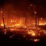 Επιδεινώθηκε η ποιότητα του αέρα στην Ελλάδα, λόγω των φετινών πυρκαγιών – Αποκαλυπτική μελέτη
