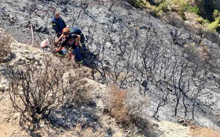 ΠΑΤΡΑ: Σοβαρά τα τραύματα του πυροσβέστη που έπεσε στη χαράδρα στην περιοχή Μπάλα - ΔΕΙΤΕ ΤΙ ΥΠΕΣΤΗ