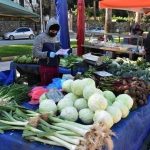 Αλλαγές στις λαϊκές αγορές: Πώς θα λειτουργεί το νέο μοντέλο χωρίς μεσάζοντες