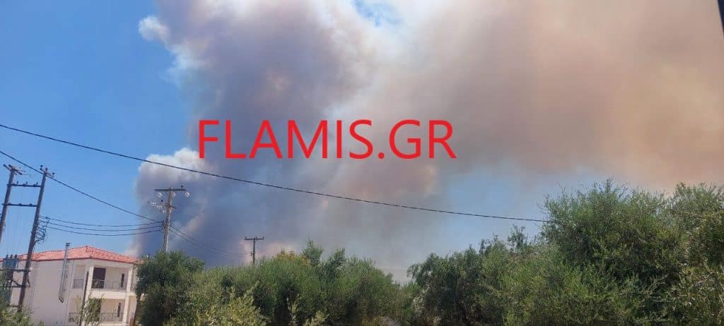 ΠΑΤΡΑ: Μεγάλη φωτιά πάνω από τα Μοιραίικα - Καίγονται και θερμοκήπια