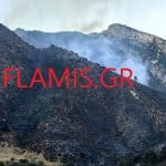 Περιορίστηκε το μέτωπο της πυρκαγιάς στο Λιβάρτζι Καλαβρύτων – Εμπρησμό καταγγέλουν οι κάτοικοι