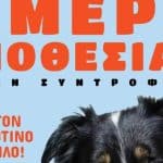 ΠΑΤΡΑ: Ημέρα υιοθεσίας ζώων συντροφιάς από τον Δήμο Πατρέων, στην Πλαζ της Αγυιάς το Σαββατο 30 αυγούστου