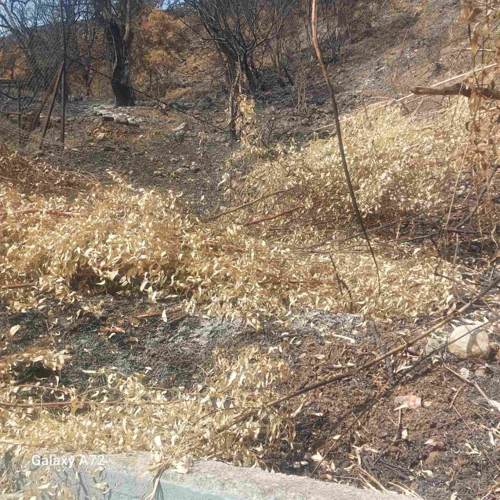 Βούντενη Πάτρας: Το βουνό… πέφτει πάνω στο Δημοτικό Σχολείο! Καμία ενέργεια μετά τις πυρκαγιές! Απειλούν οι γονείς Βούντενη Πάτρας: Το βουνό… πέφτει πάνω στο Δημοτικό Σχολείο! Καμία ενέργεια μετά τις πυρκαγιές! Απειλούν οι γονείς