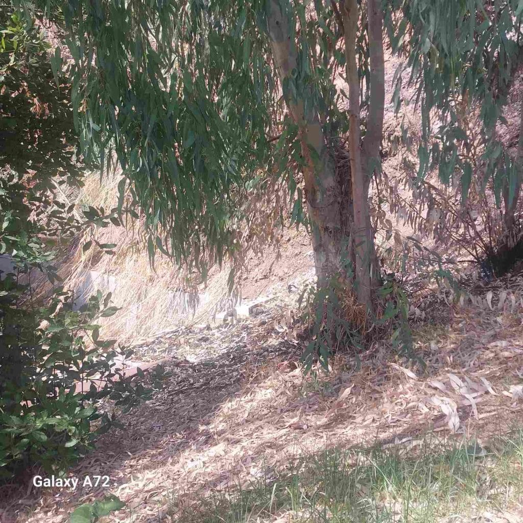 Βούντενη Πάτρας: Το βουνό… πέφτει πάνω στο Δημοτικό Σχολείο! Καμία ενέργεια μετά τις πυρκαγιές! Απειλούν οι γονείς Βούντενη Πάτρας: Το βουνό… πέφτει πάνω στο Δημοτικό Σχολείο! Καμία ενέργεια μετά τις πυρκαγιές! Απειλούν οι γονείς
