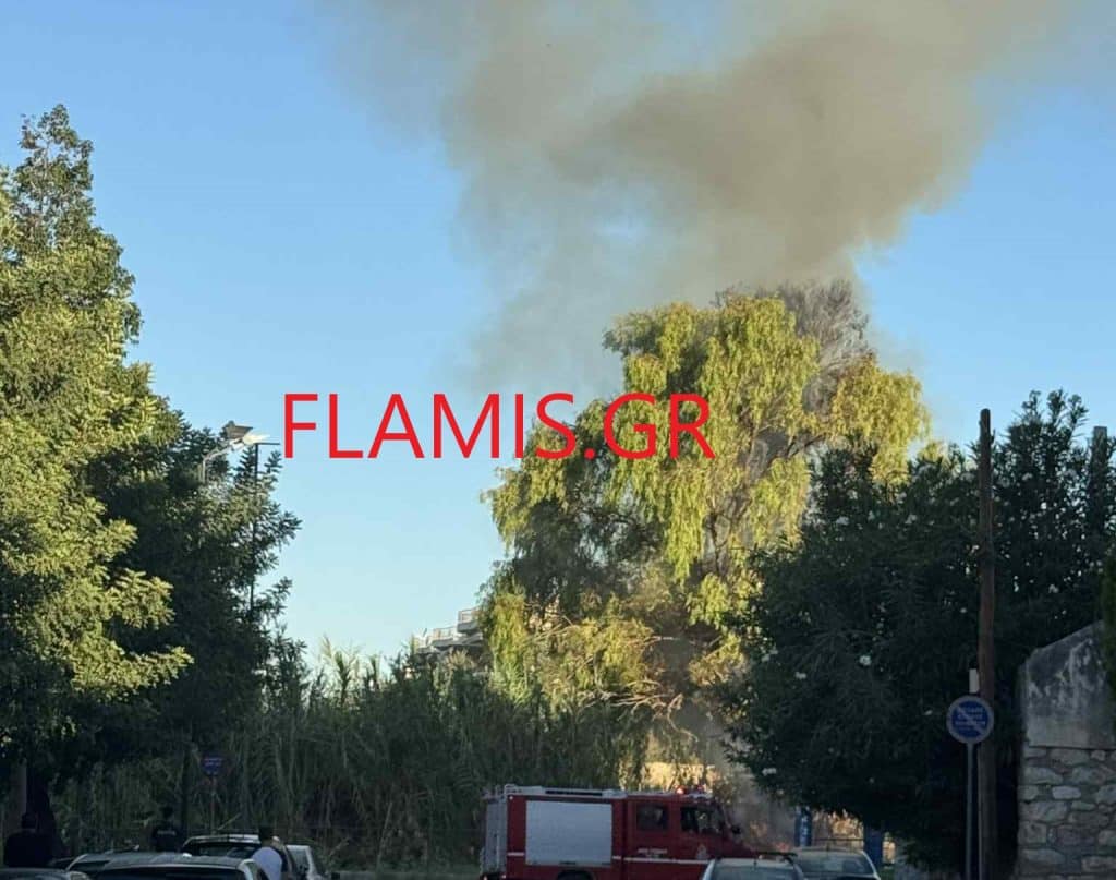 ΠΑΤΡΑ - ΤΩΡΑ: Εβαλαν φωτιά στις καλαμιές κοντά στην Παναχαϊκή - ΒΙΝΤΕΟ! Κρατείται ύποπτος